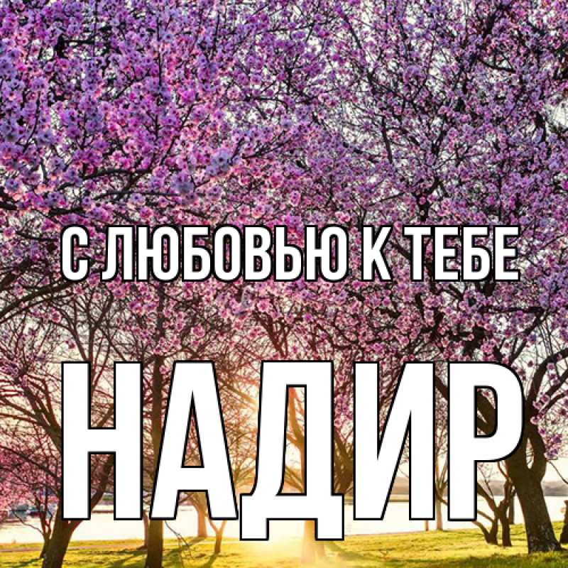 Картинка С любовью к тебе, Надир