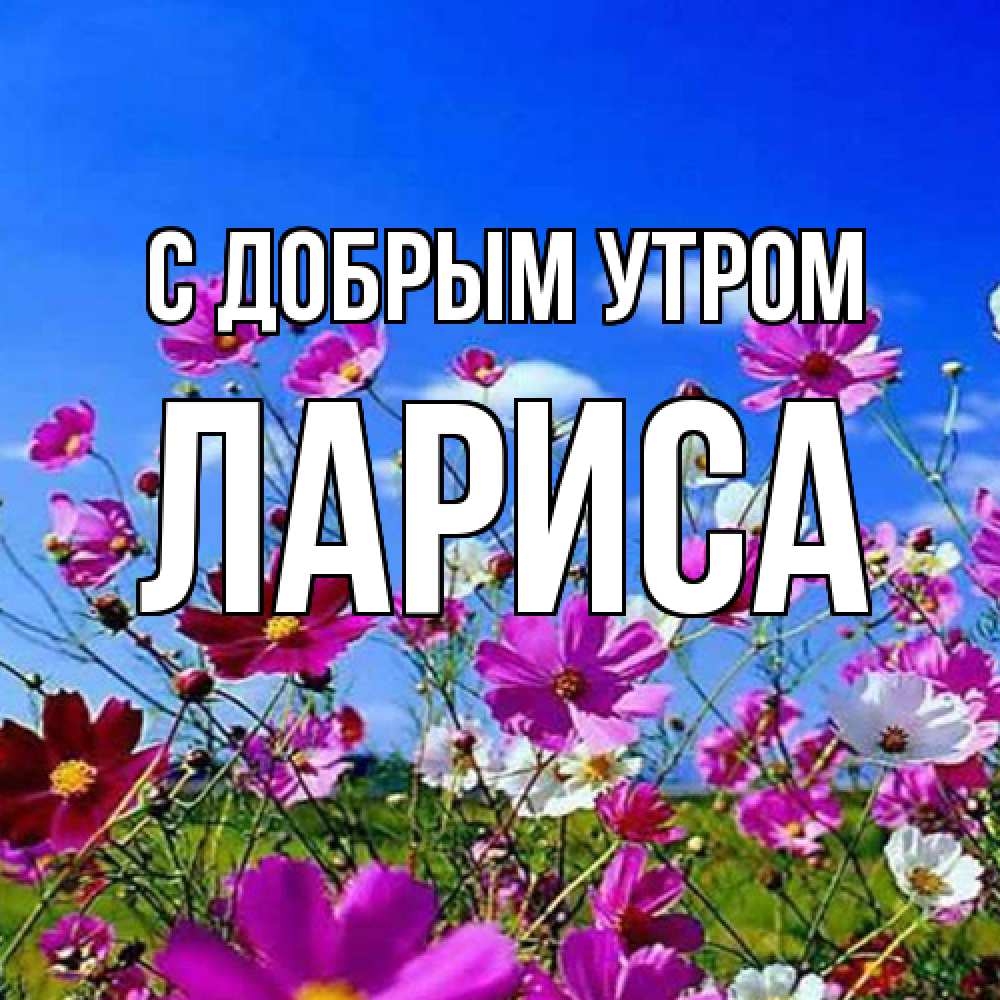 Открытка  с именем. Лариса, С добрым утром  