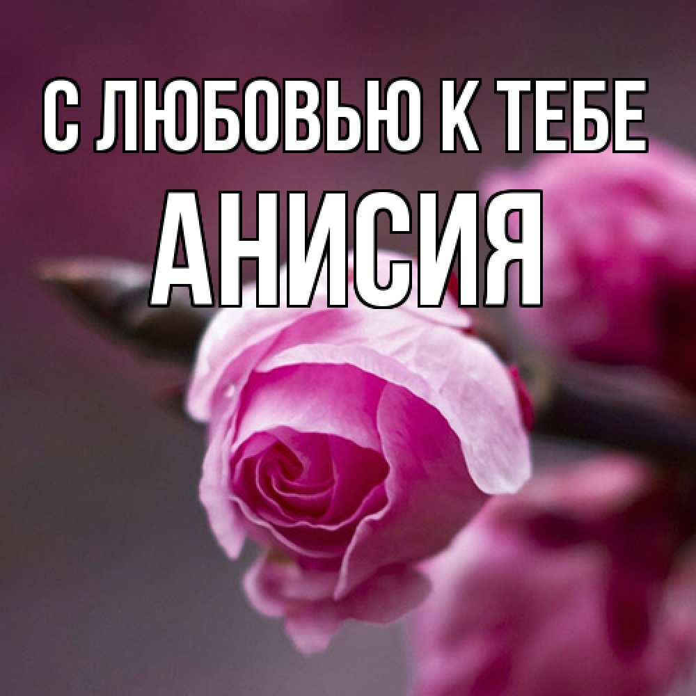 Открытка  с именем. Анисия, С любовью к тебе  