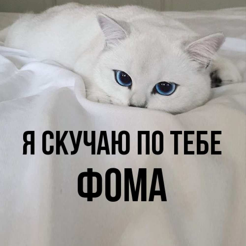 Открытка  с именем. Фома, Я скучаю по тебе  