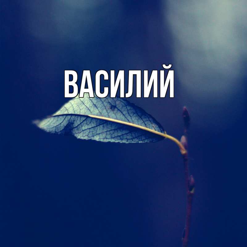 Картинка  с именем , Василий