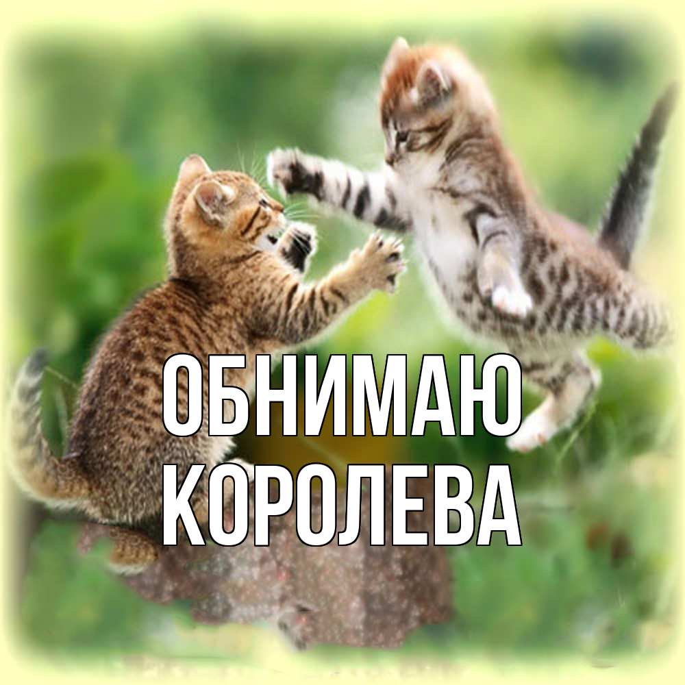 Открытка  с именем. Королева, Обнимаю  