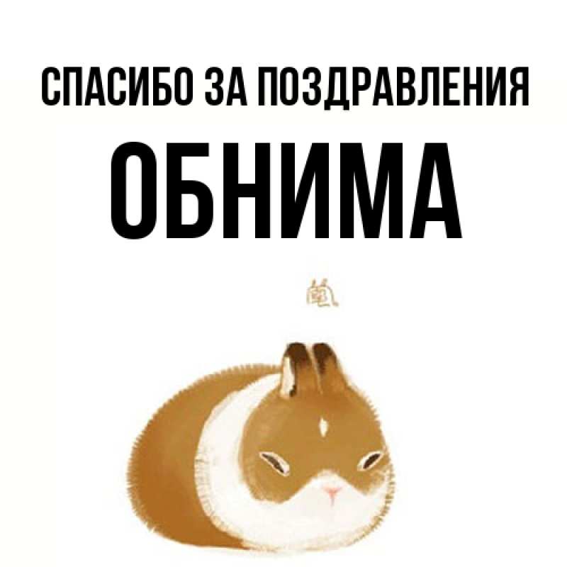 Картинка Спасибо за поздравления, Обнима