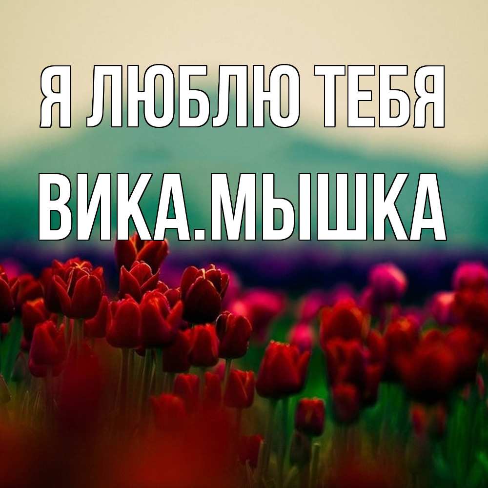 Открытка  с именем. викамышка, Я люблю тебя  