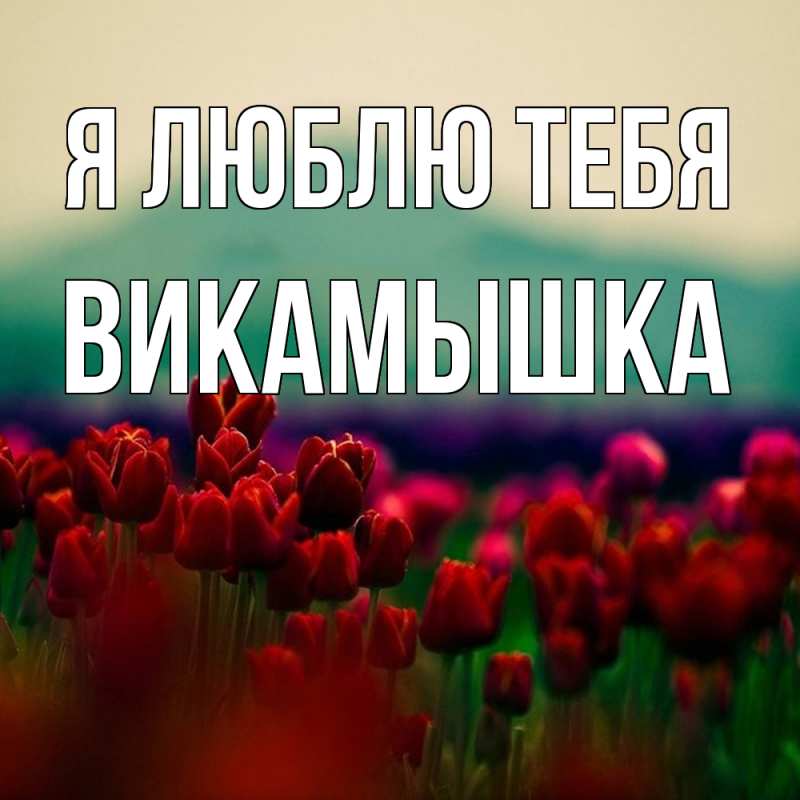 Картинка Я люблю тебя, викамышка