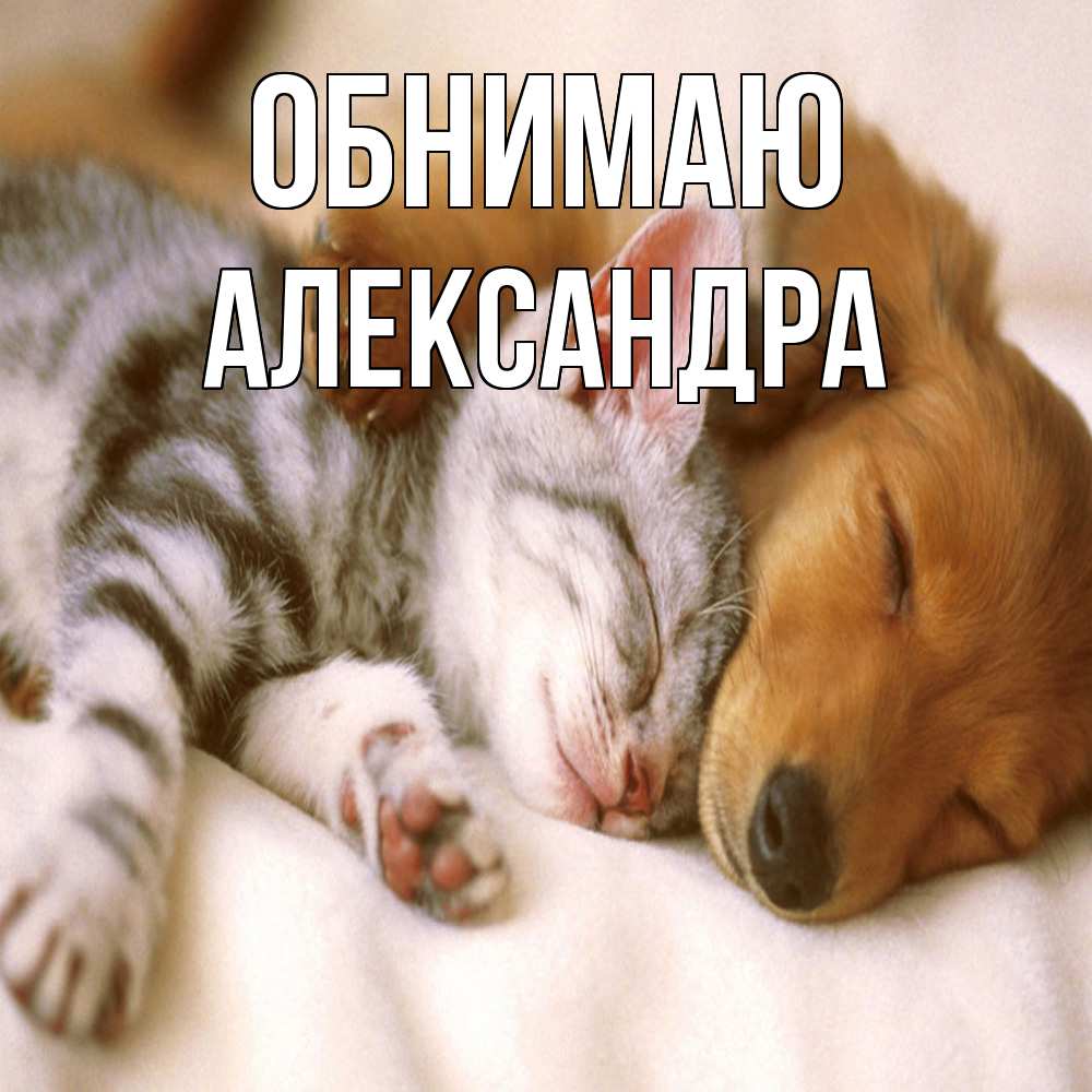 Открытка  с именем. Александра, Обнимаю  