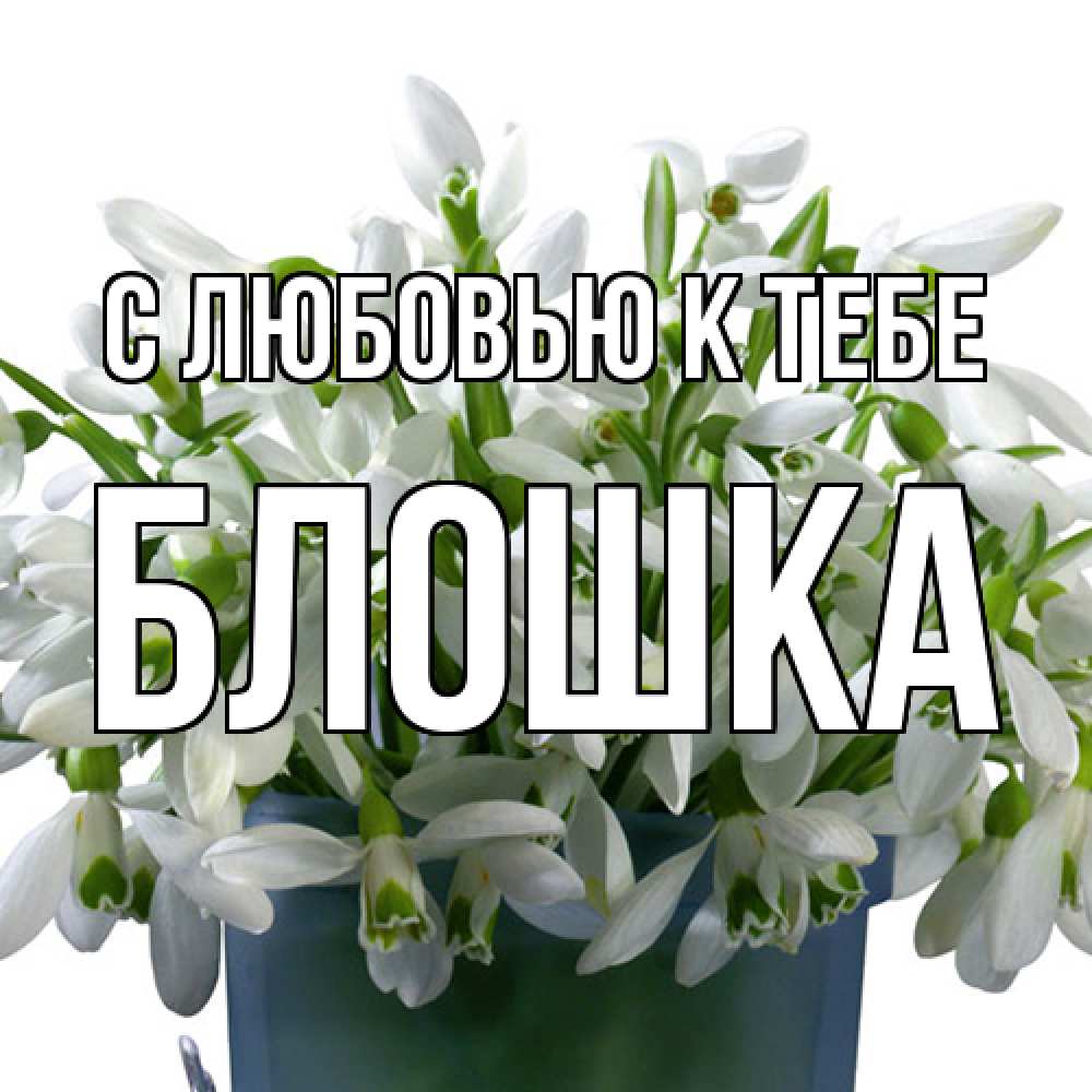 Открытка  с именем. Блошка, С любовью к тебе  