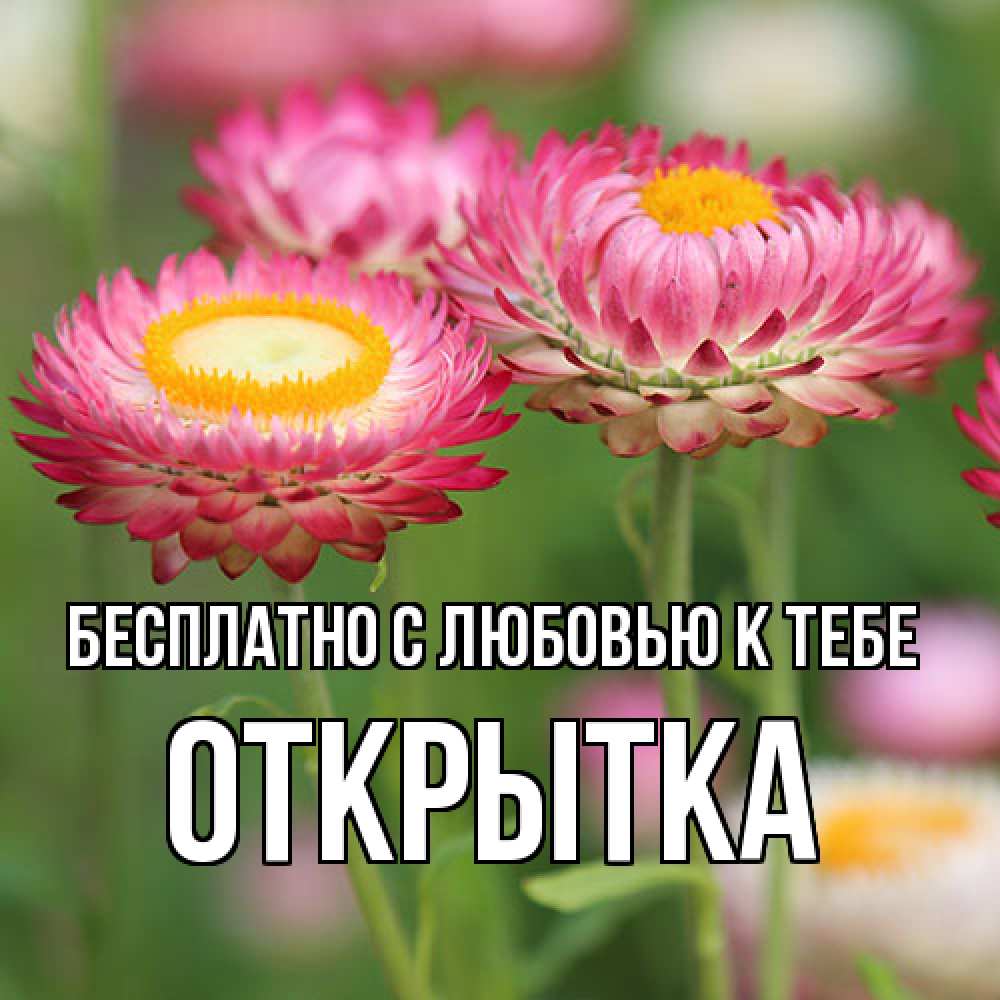 Открытка  с именем. открытка, С любовью к тебе  