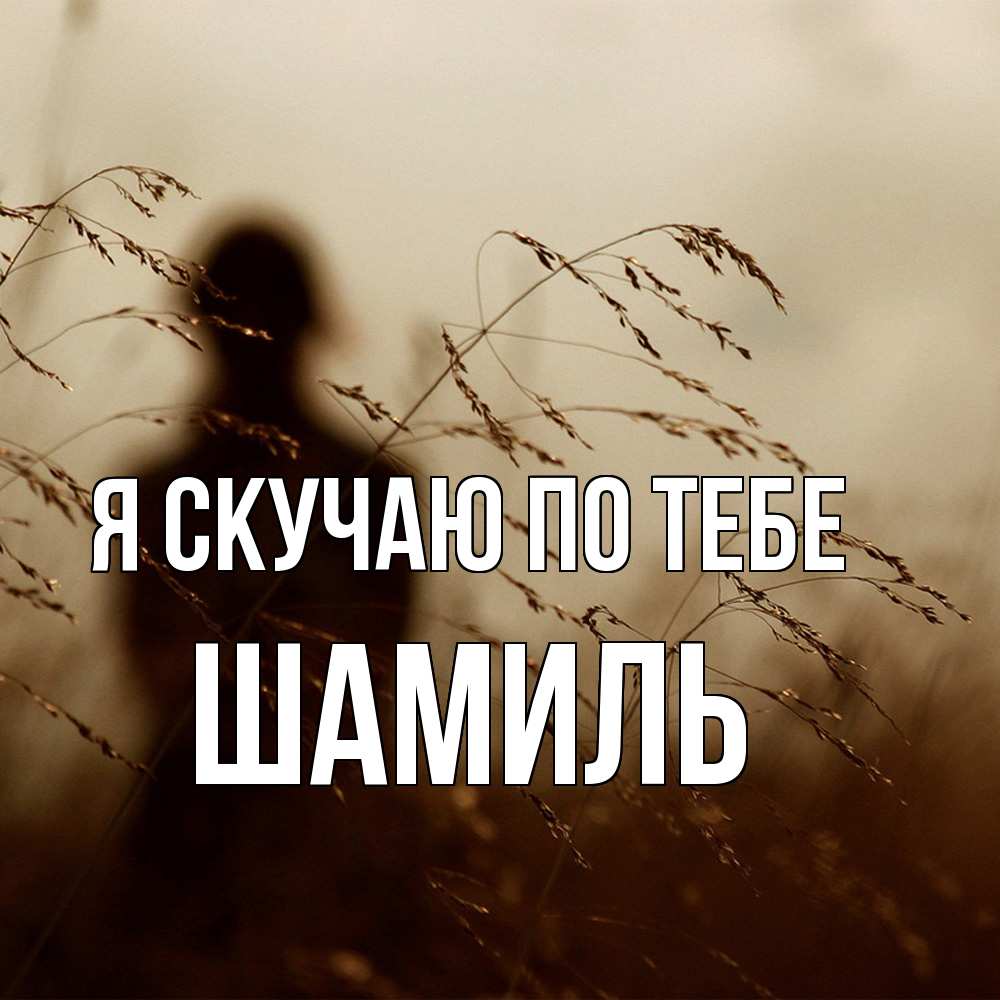 Открытка  с именем. Шамиль, Я скучаю по тебе  