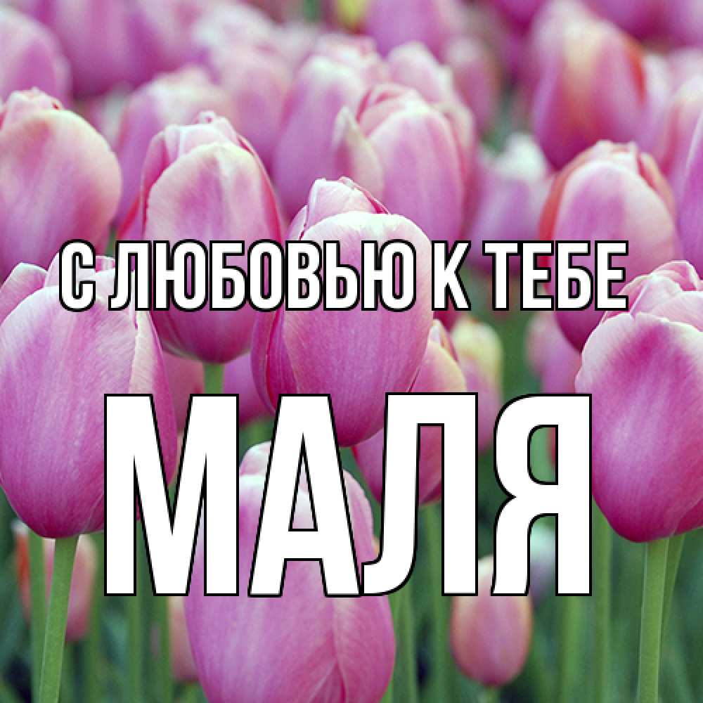 Открытка  с именем. Маля, С любовью к тебе  