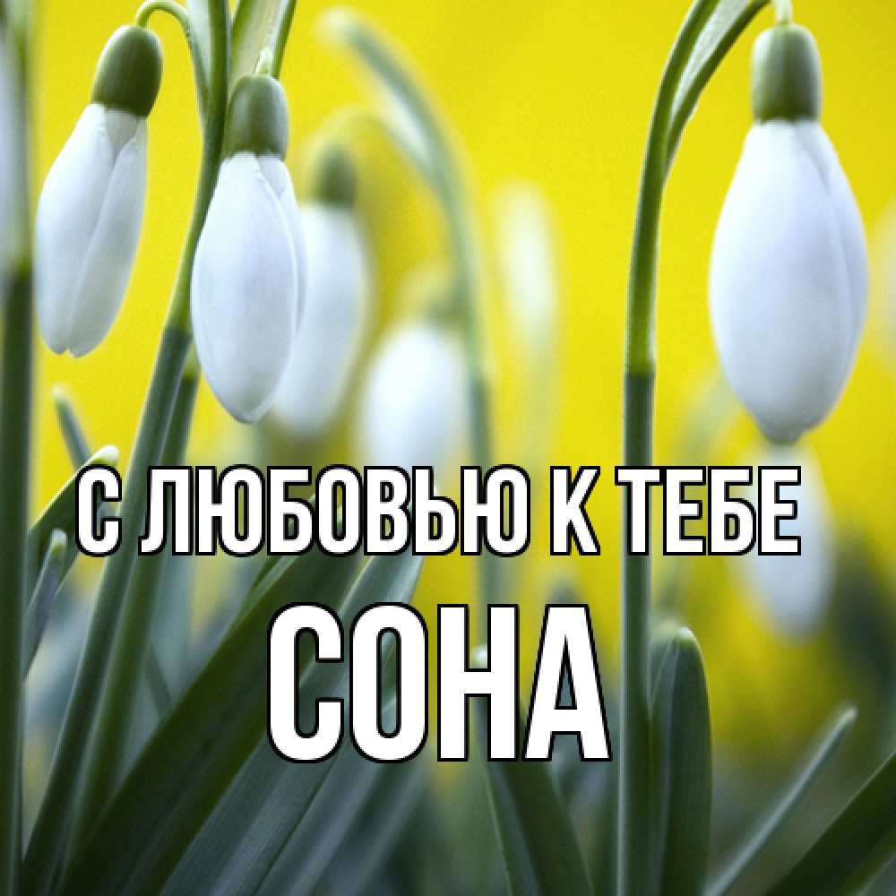 Открытка  с именем. СОНА, С любовью к тебе  