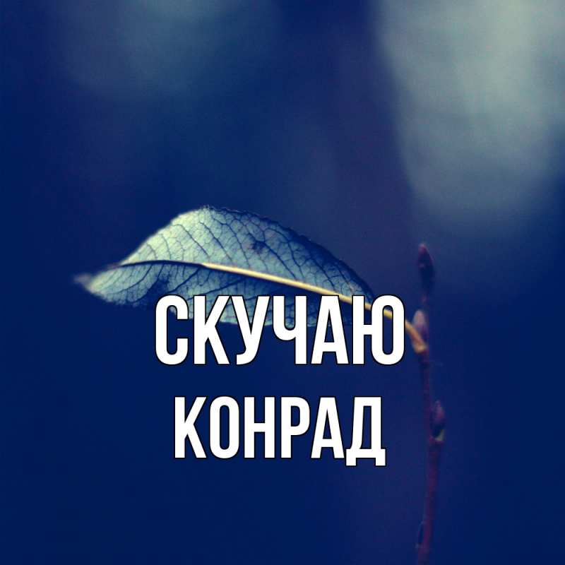 Картинка Скучаю, Конрад