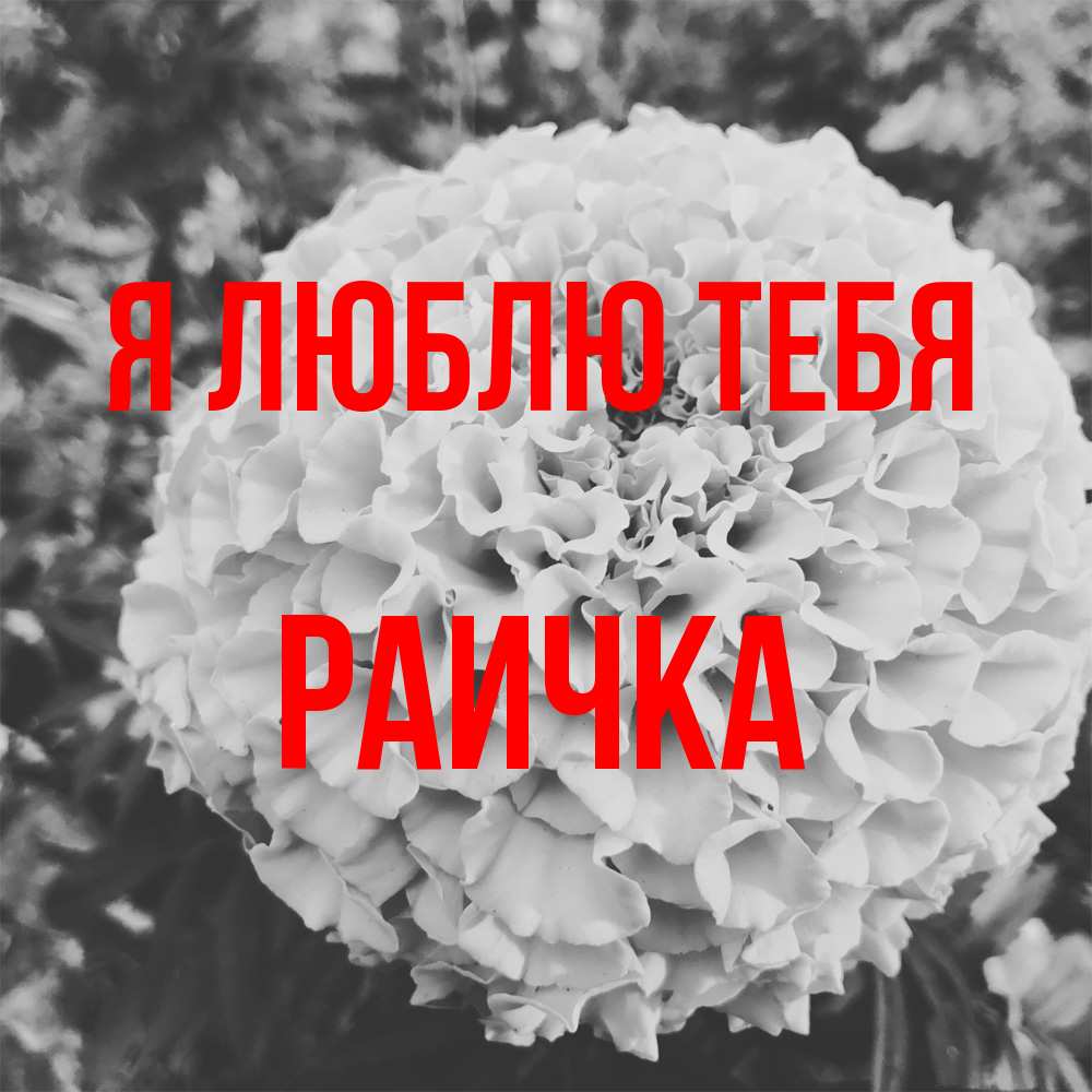 Открытка  с именем. Раичка, Я люблю тебя  