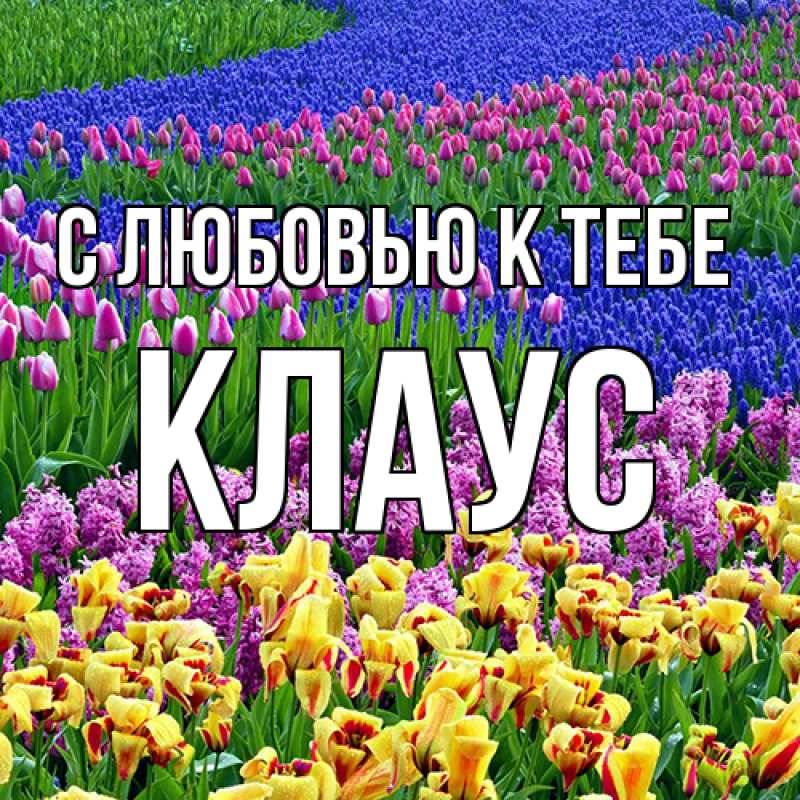 Картинка С любовью к тебе, Клаус