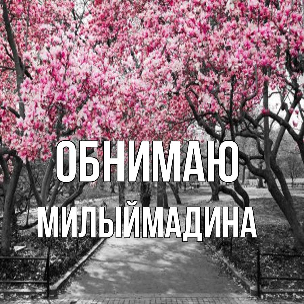 Открытка  с именем. Милыймадина, Обнимаю  