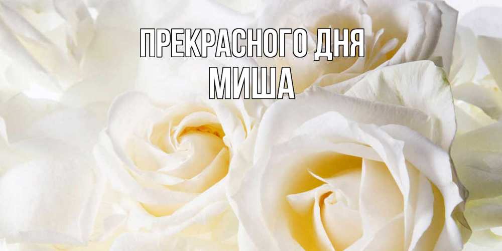 Открытка  с именем. Миша, Прекрасного дня  