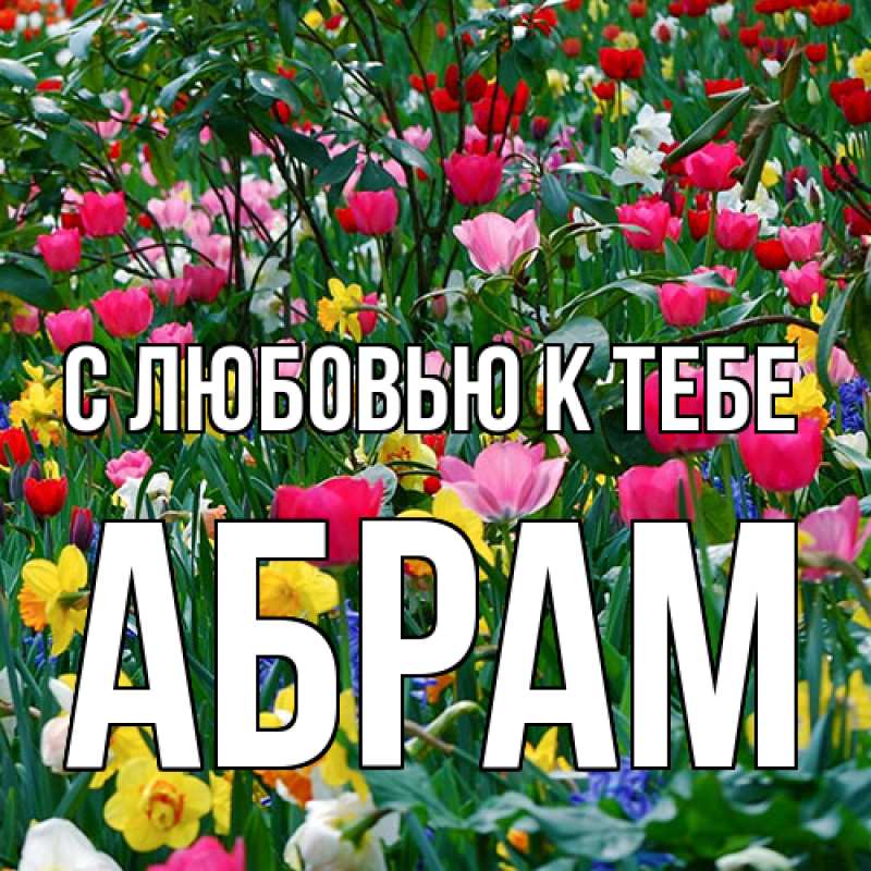 Картинка С любовью к тебе, Абрам