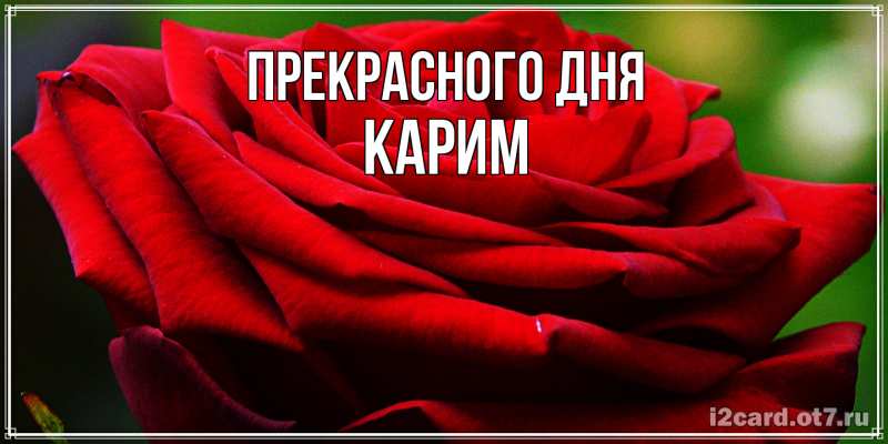 Картинка Прекрасного дня, Карим