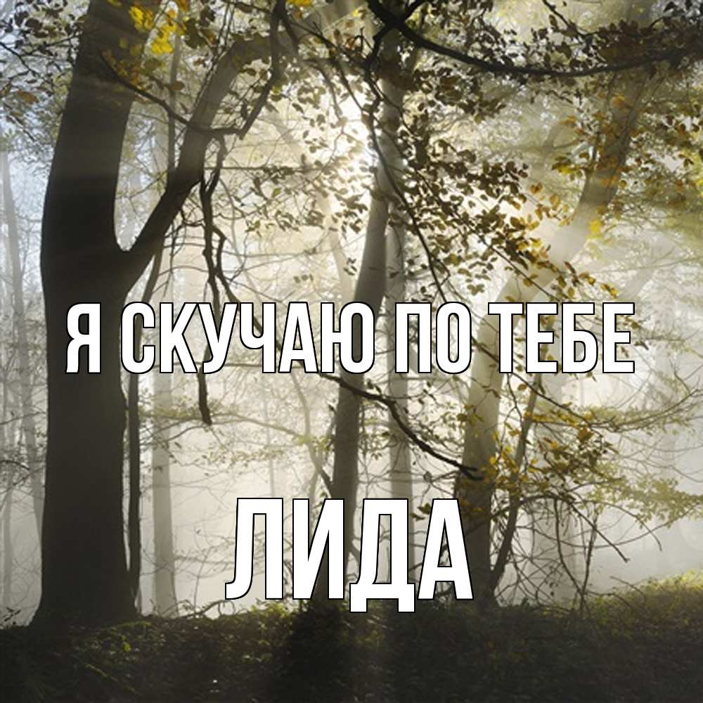 Открытка  с именем. Лида, Я скучаю по тебе  