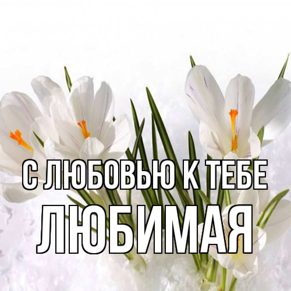 Открытка  с именем. Любимая, С любовью к тебе  
