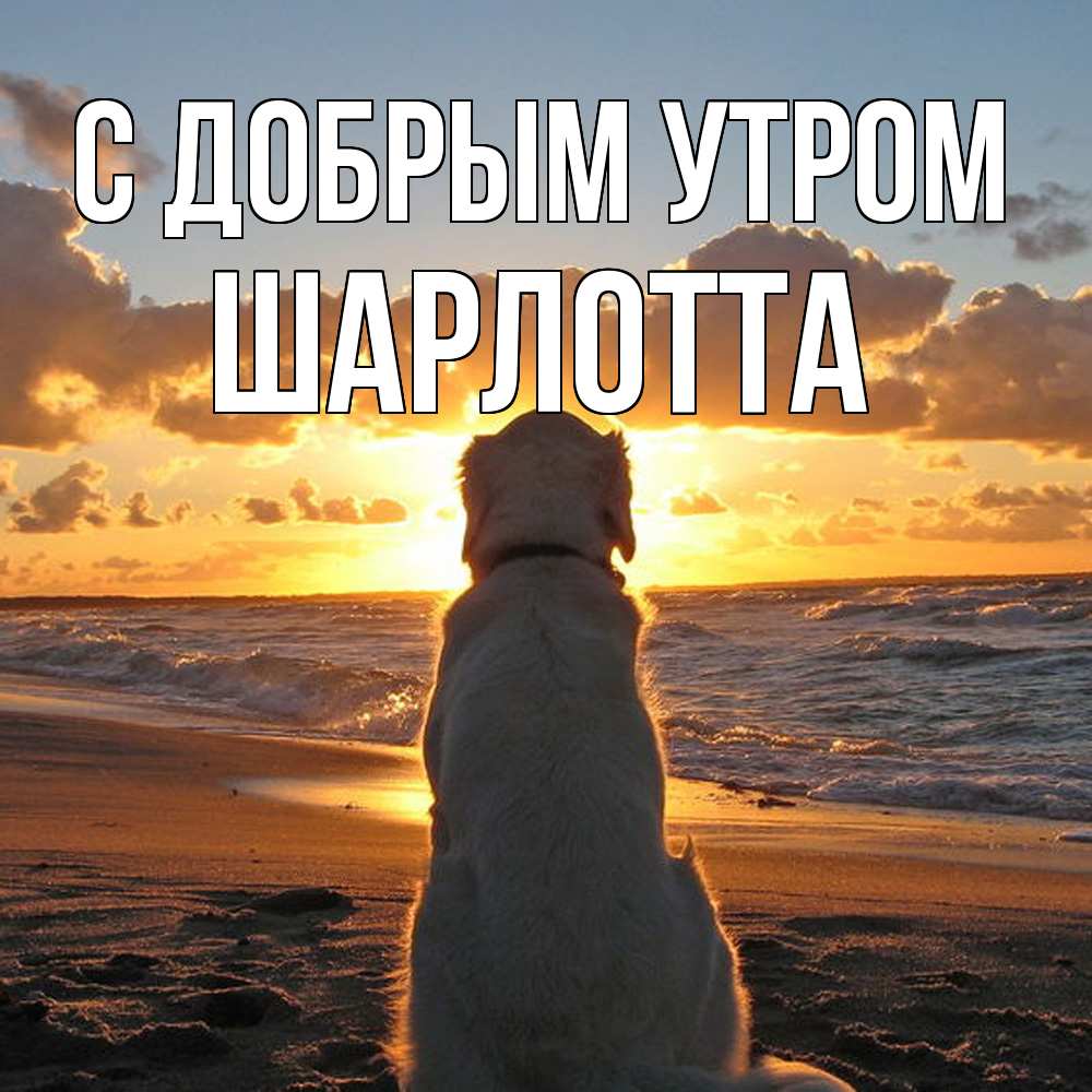 Открытка  с именем. Шарлотта, С добрым утром  