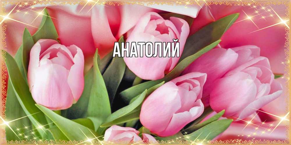 Открытка  с именем. Анатолий, Главная  