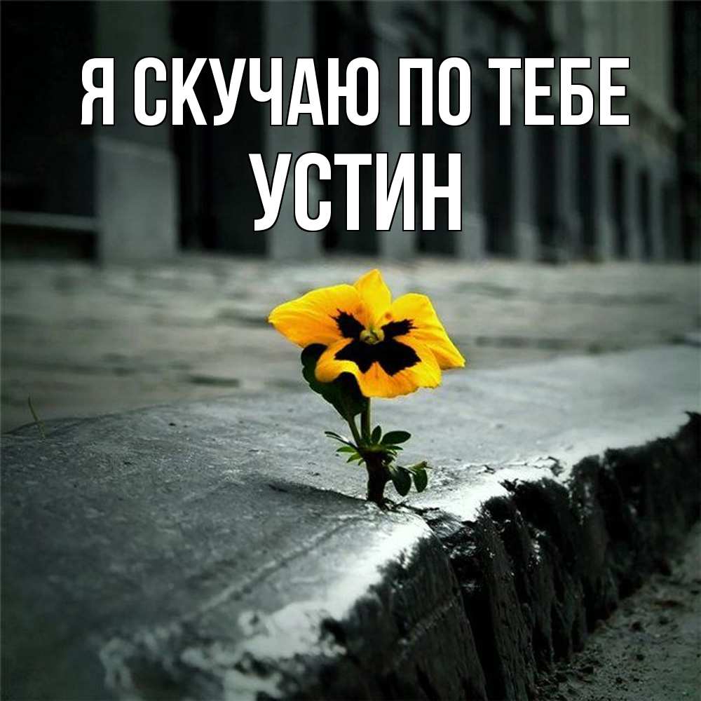 Открытка  с именем. Устин, Я скучаю по тебе  