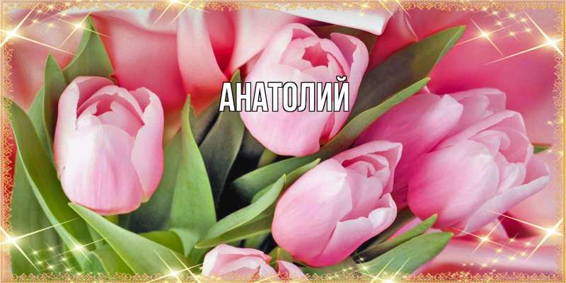 Картинка  с именем , Анатолий
