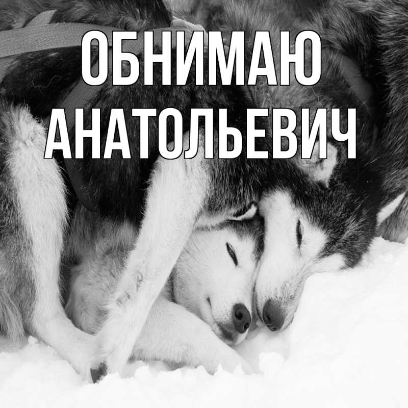 Картинка Обнимаю, Анатольевич