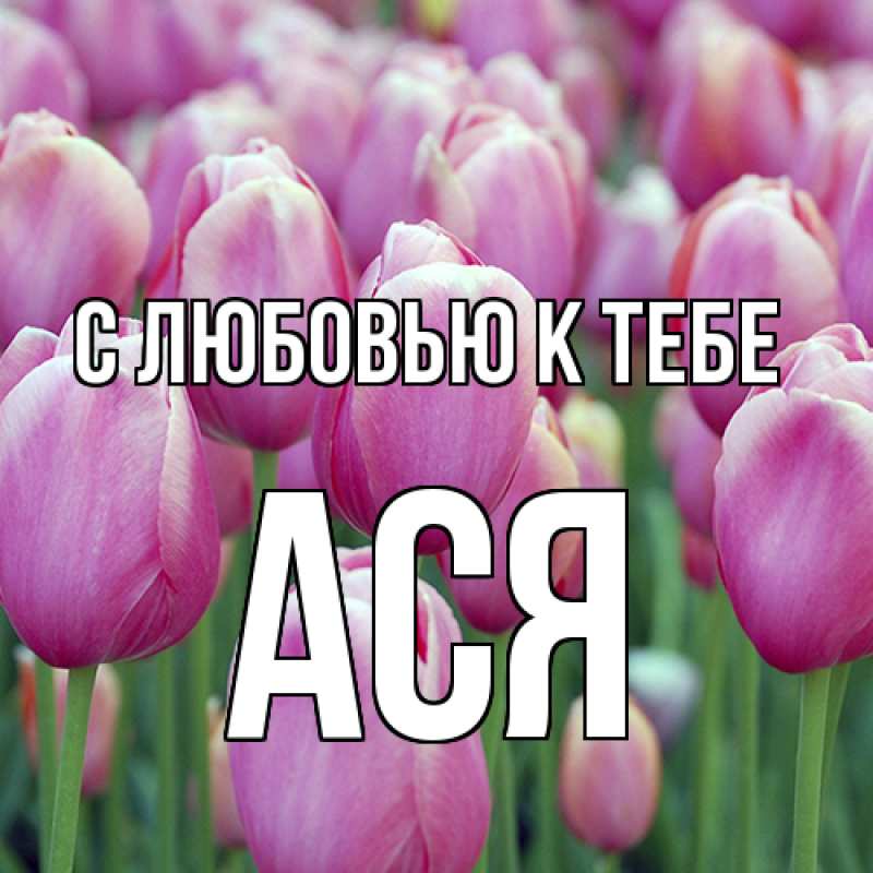 Картинка С любовью к тебе, Ася