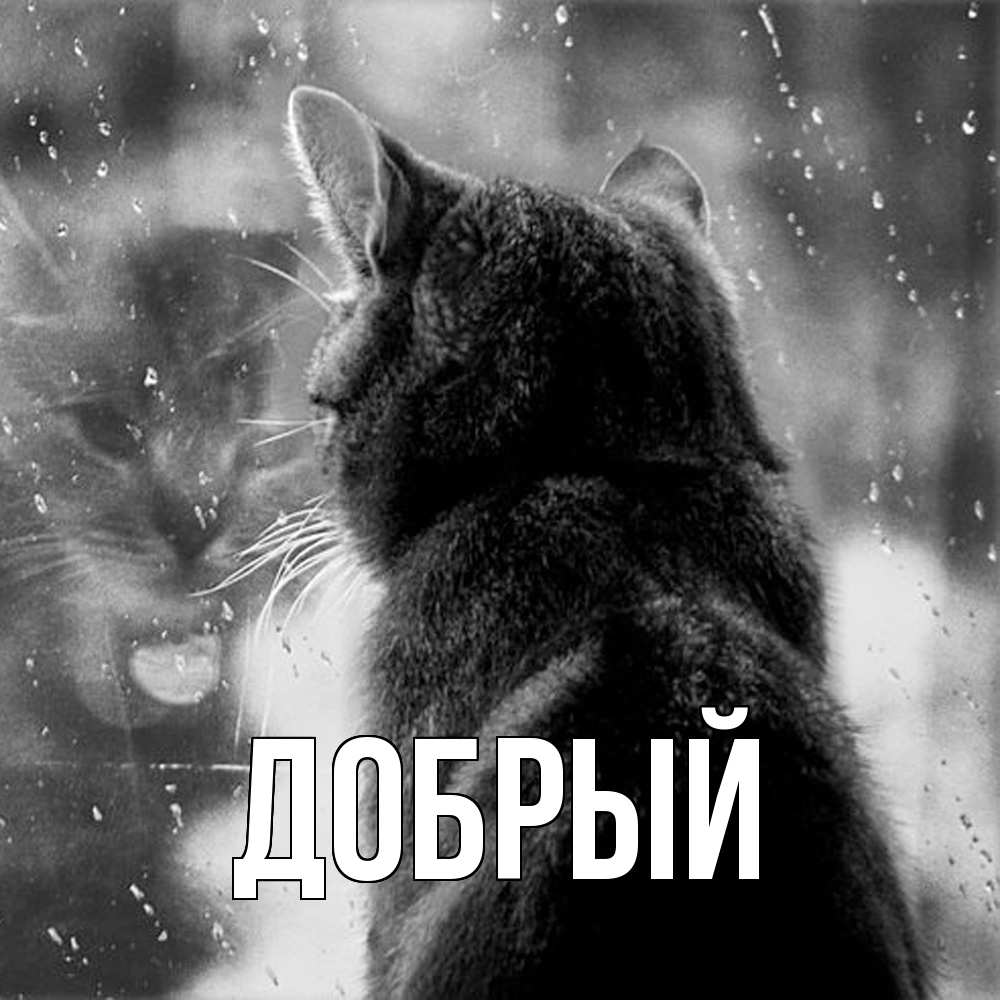Открытка  с именем. Добрый, Главная  