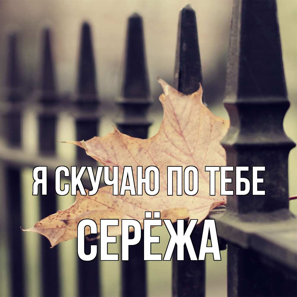 Открытка  с именем. Серёжа, Я скучаю по тебе  