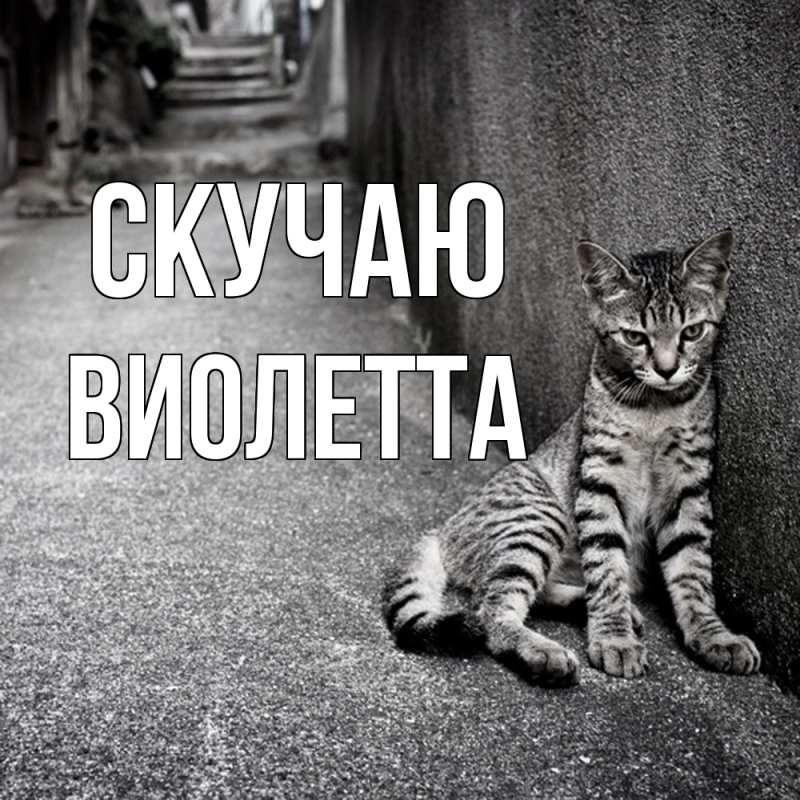 Картинка Скучаю, Виолетта