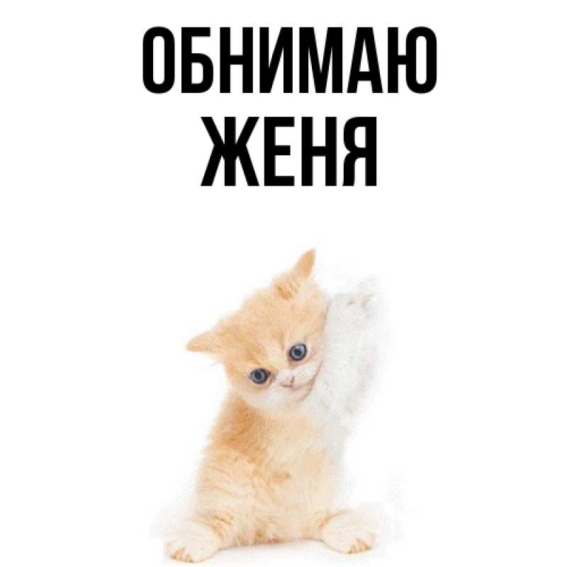 Картинка Обнимаю, ЖЕНЯ