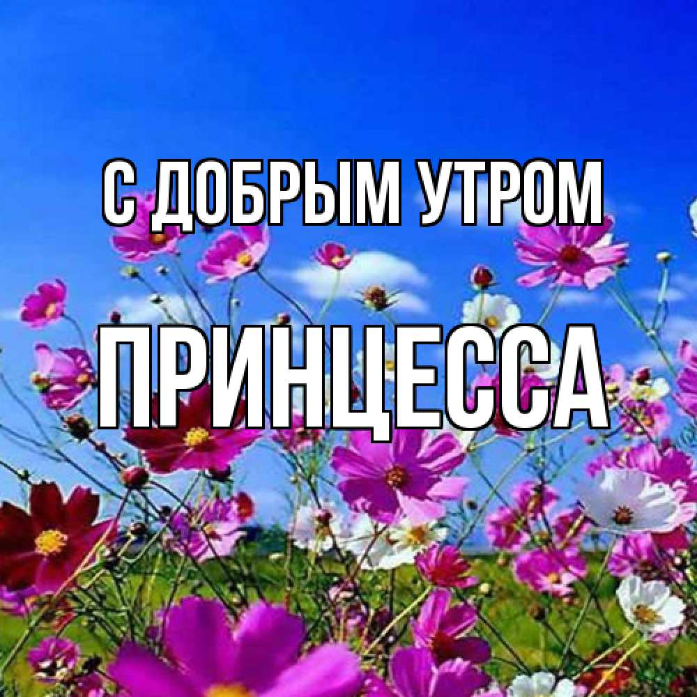 Открытка  с именем. Принцесса, С добрым утром  