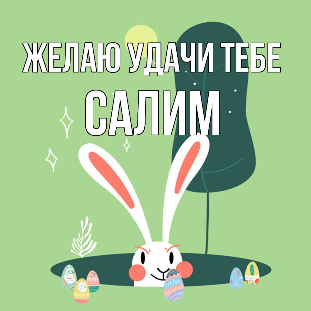 Открытка  с именем. Салим, Желаю удачи тебе  