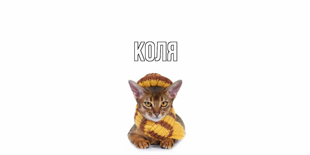 Открытка  с именем. коля, Главная  