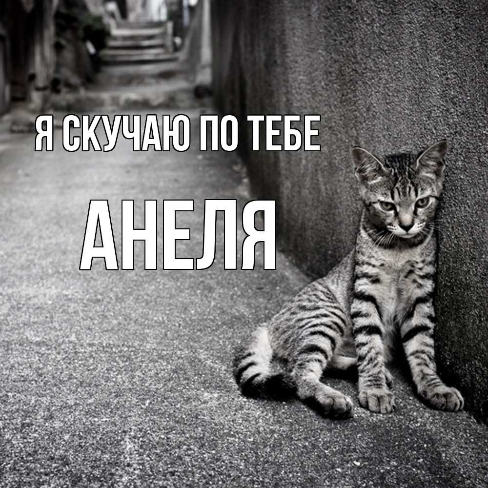 Открытка  с именем. Анеля, Я скучаю по тебе  