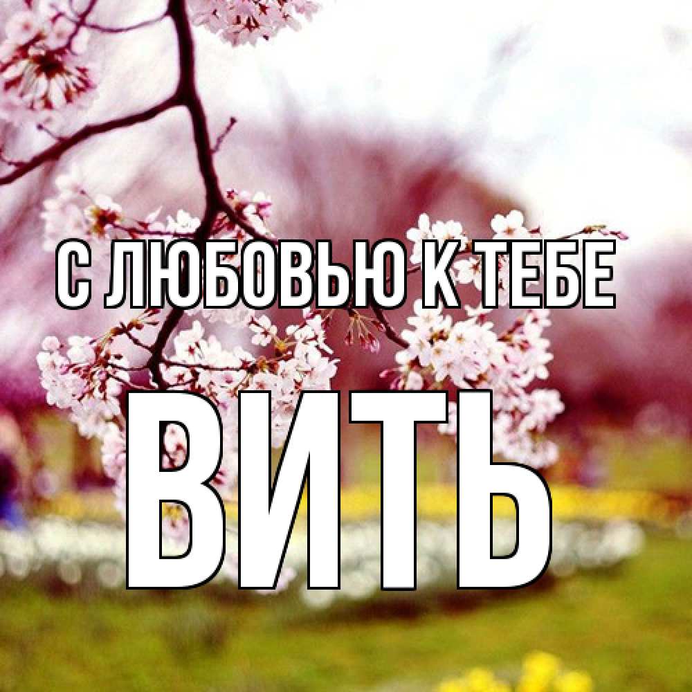 Открытка  с именем. Вить, С любовью к тебе  