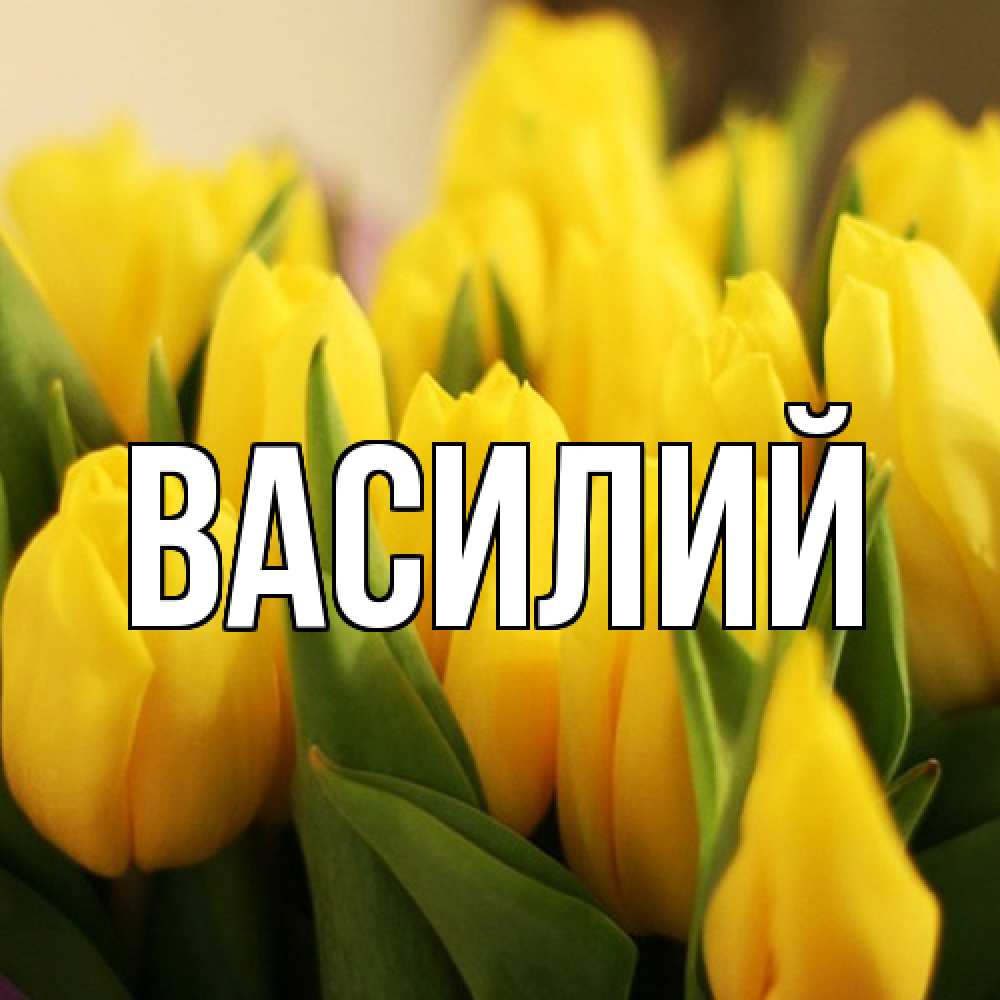 Открытка  с именем. Василий, Главная  