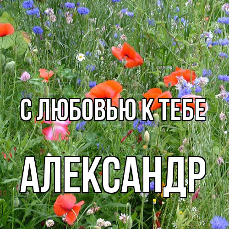 Картинка С любовью к тебе, Александр
