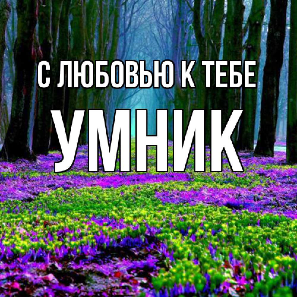 Открытка  с именем. Умник, С любовью к тебе  