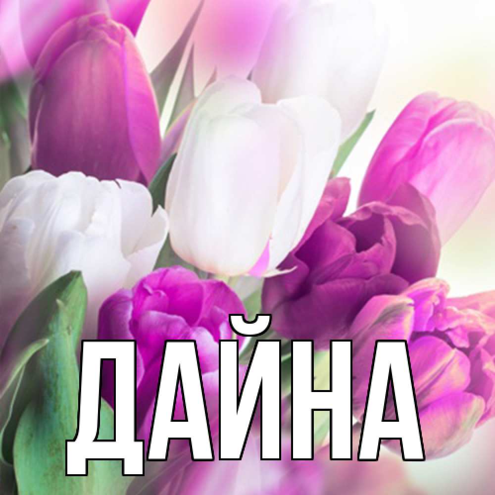 Открытка  с именем. Дайна, Главная  