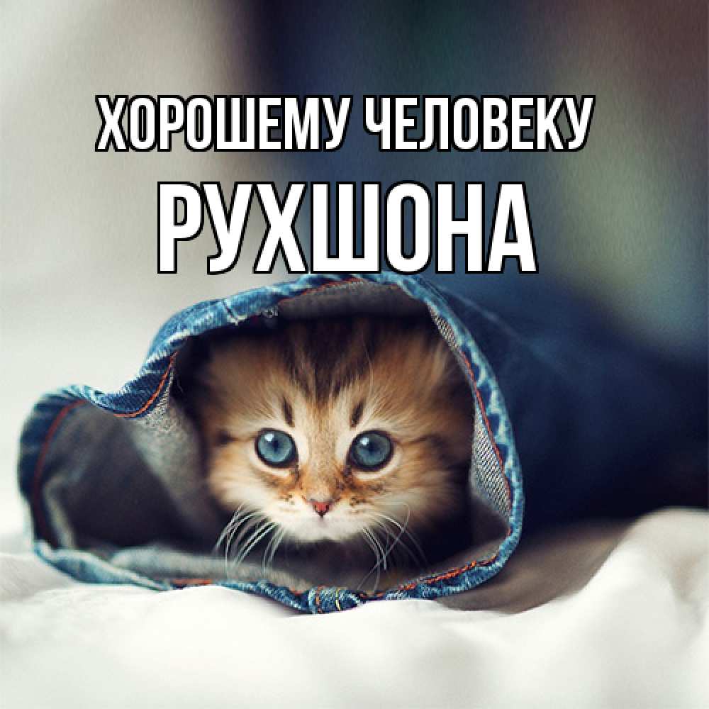 Открытка  с именем. Рухшона, Хорошему человеку  