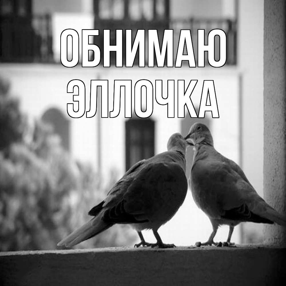 Открытка  с именем. Эллочка, Обнимаю  