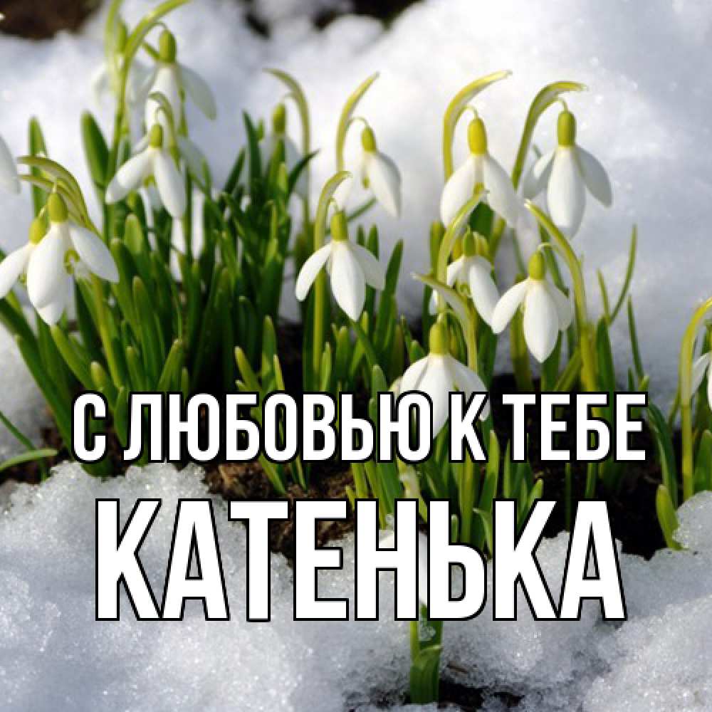 Открытка  с именем. Катенька, С любовью к тебе  