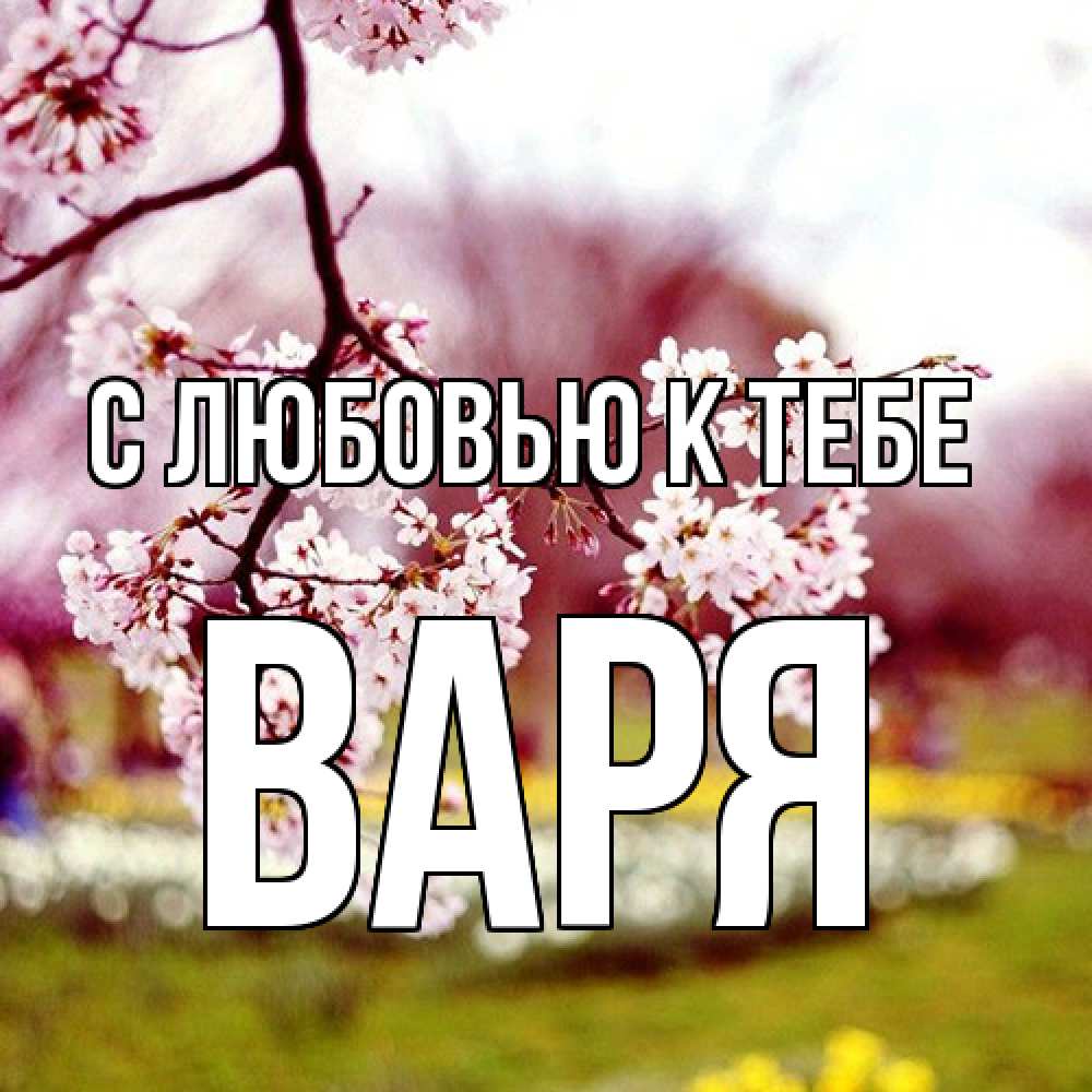 Открытка  с именем. варя, С любовью к тебе  