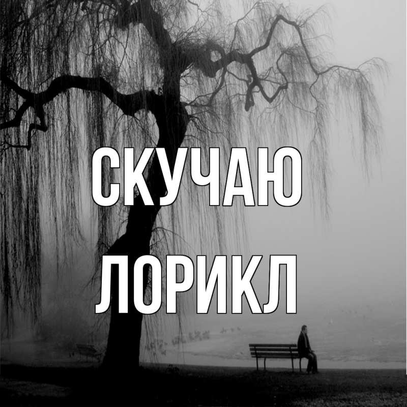 Картинка Скучаю, Лорикл