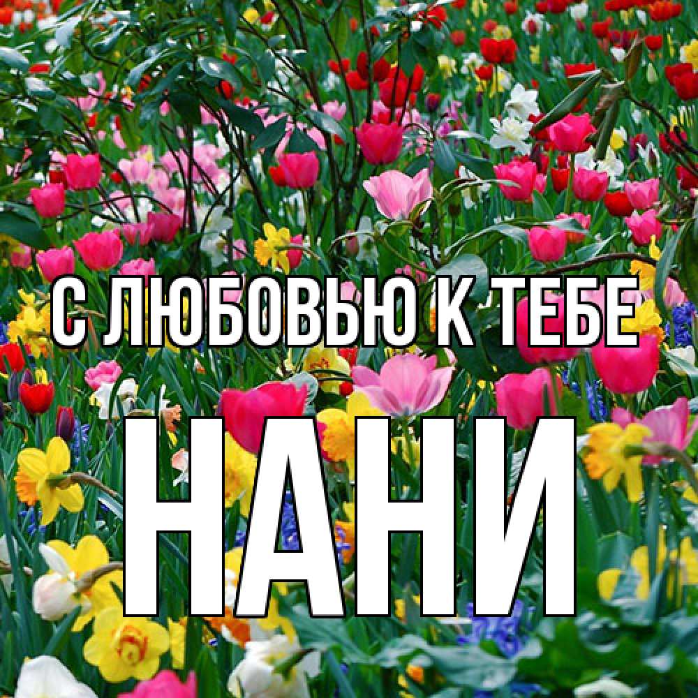 Открытка  с именем. Нани, С любовью к тебе  