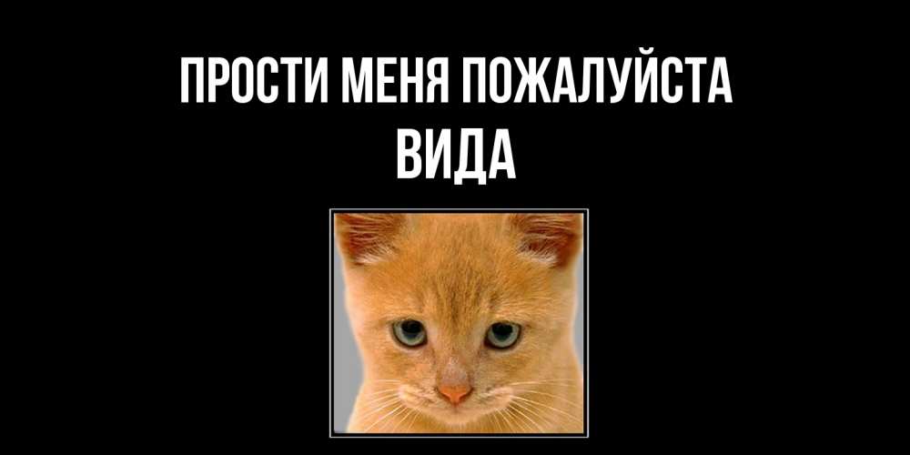 Открытка  с именем. Вида, Прости меня пожалуйста  